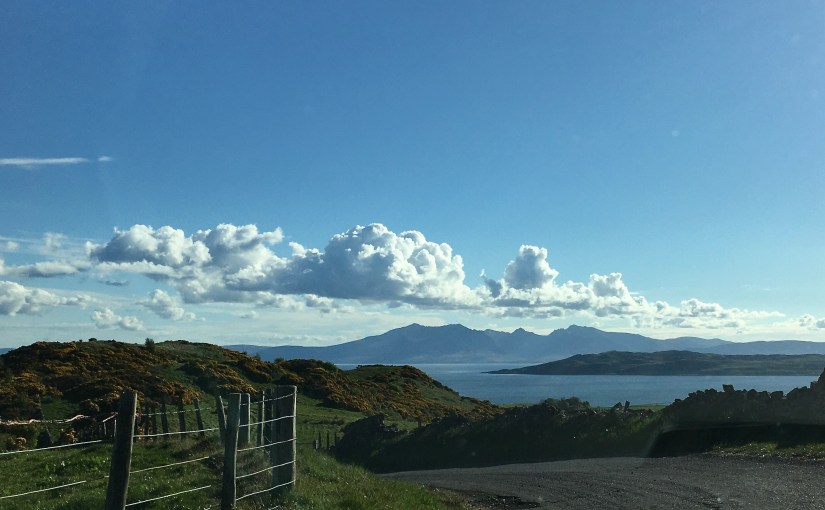 A Favourite haunt&nbsp;…..