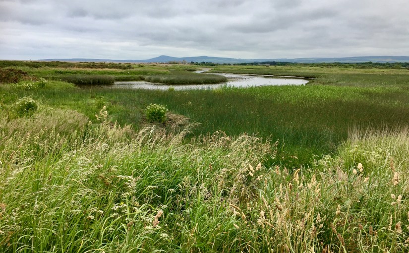 Sunny Morayshire – the place to&nbsp;be!