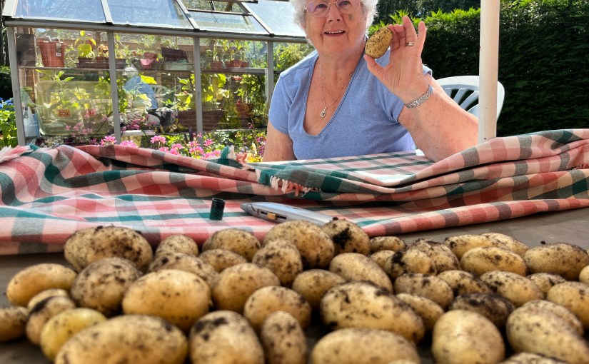 Colours Galore – Garden Joys and&nbsp;Surprises