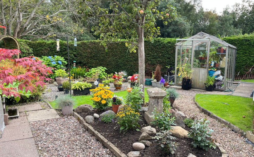 Plans, Projects and&nbsp;Purpose